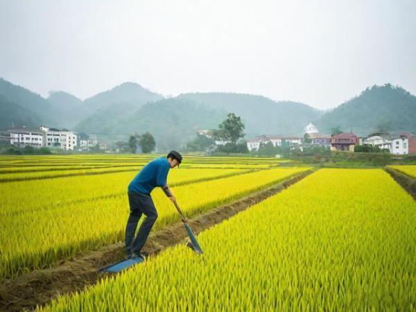 惊蛰气候特点及农事安排